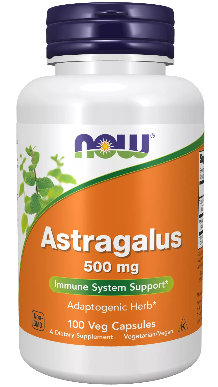 Astragalus 500 mg Veg Capsules
