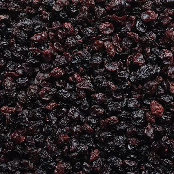Australian Currants