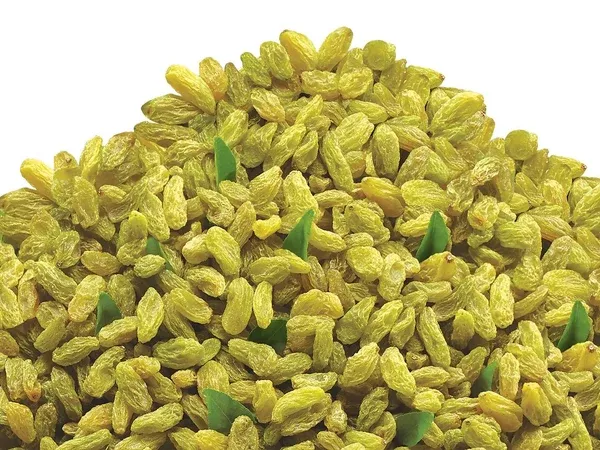 Bikanervala Kishmish (raisins) - 500 gm
