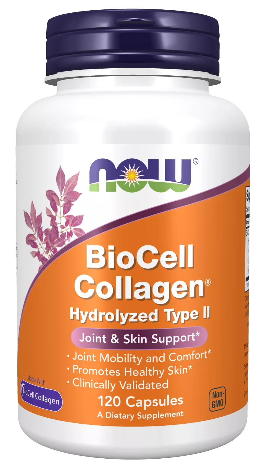 BioCell Collagen Hydrolyzed Type II Capsules