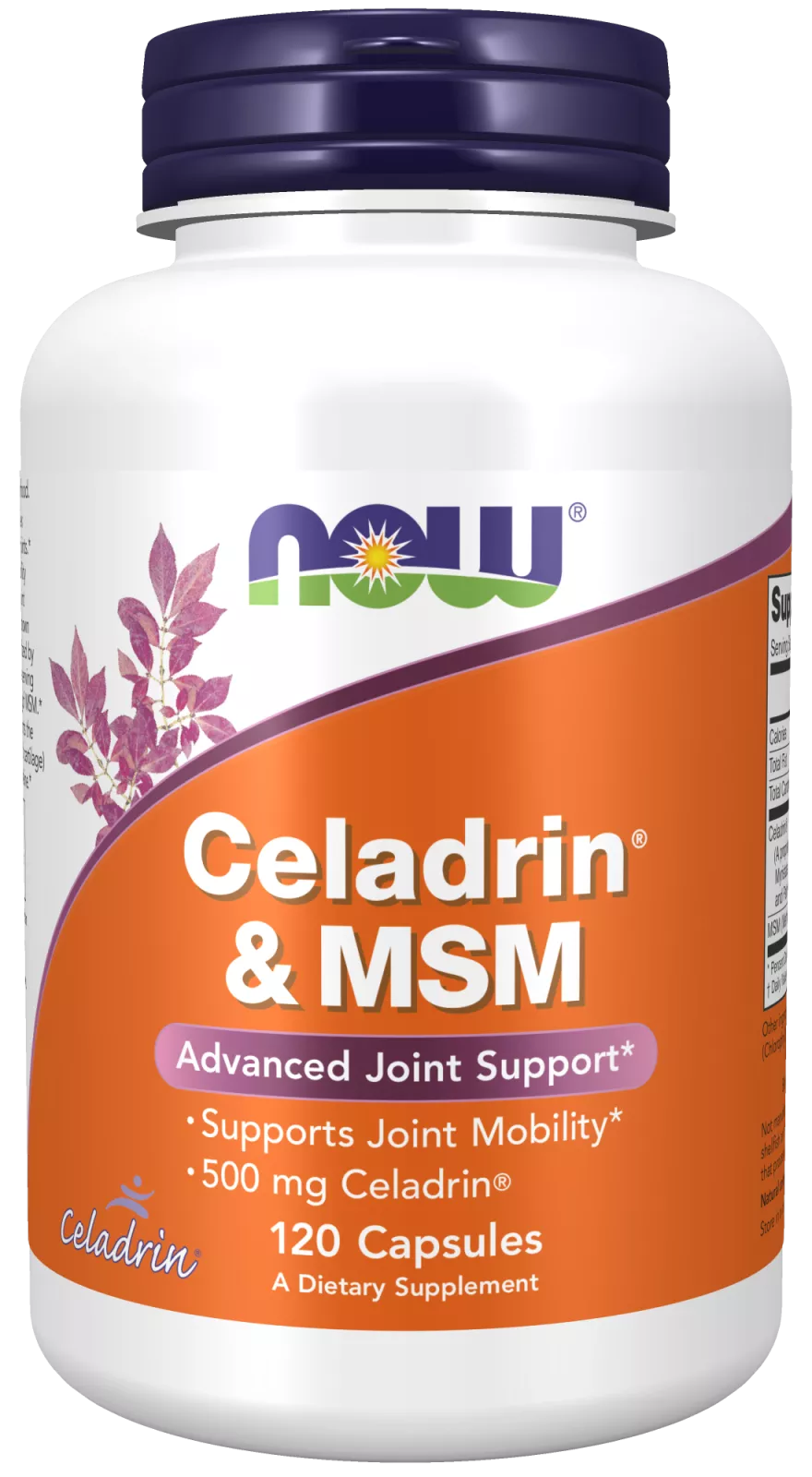 Celadrin & MSM 500 mg Capsules