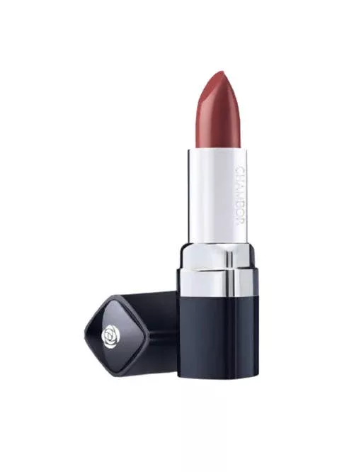 Chambor 163 Dusky Earth Powder Matte Lipstick - 4.5 gm
