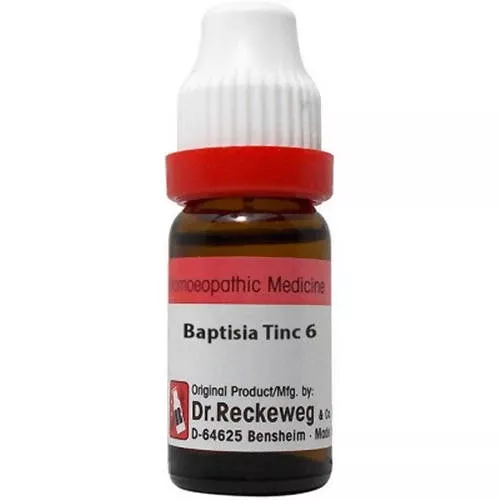 Dr. Reckeweg Baptisia Tinctoria Dilution - 6 CH - 11 ml