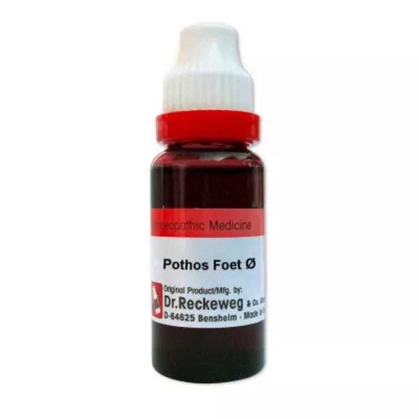 Dr. Reckeweg Pothos Foetida Mother Tincture Q - 20 ml