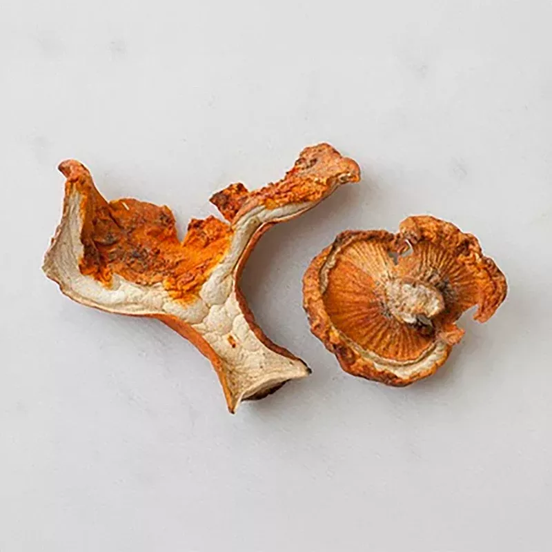 Dried Lobster Mushrooms