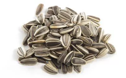 Dry Roasted In Shell Sunflower Seeds Salted