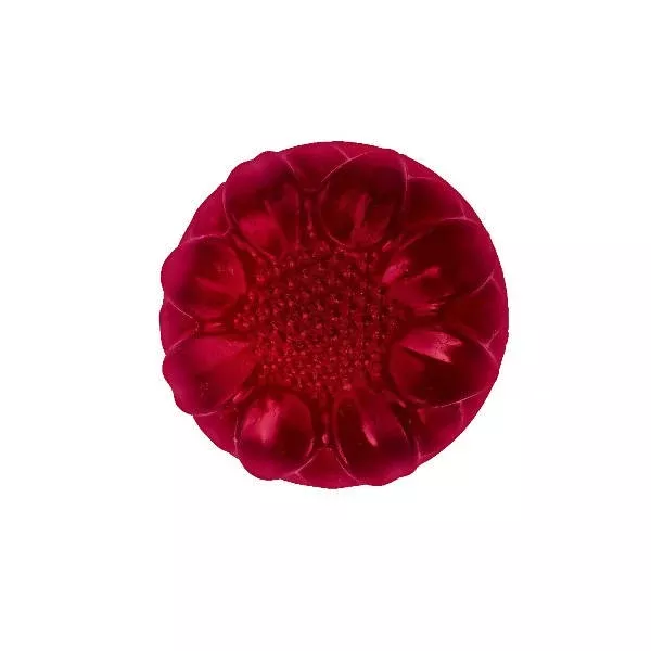 Duh Exotica Redwine Berrilicous Bathing Bar - 100 Gm