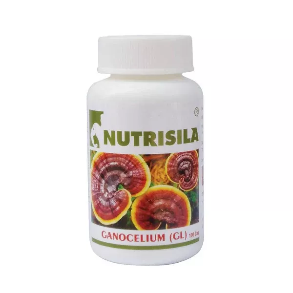 Extasy Nutrisila Gano Celium (GL) Capsules - 100 caps
