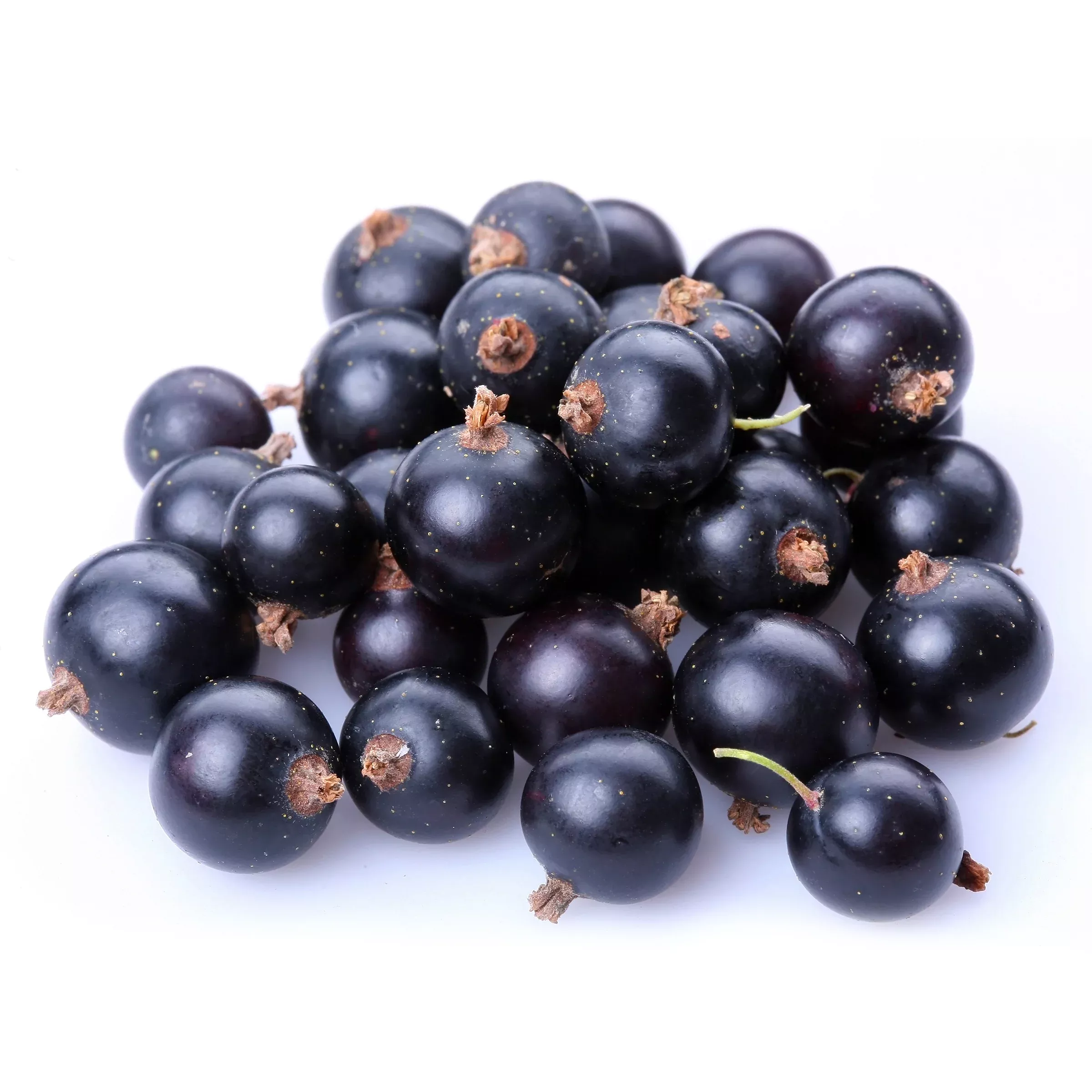 Fresh Frozen Washington Black Currants