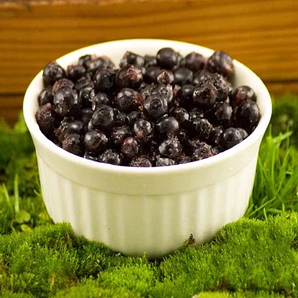 Fresh Frozen Wild Bilberries