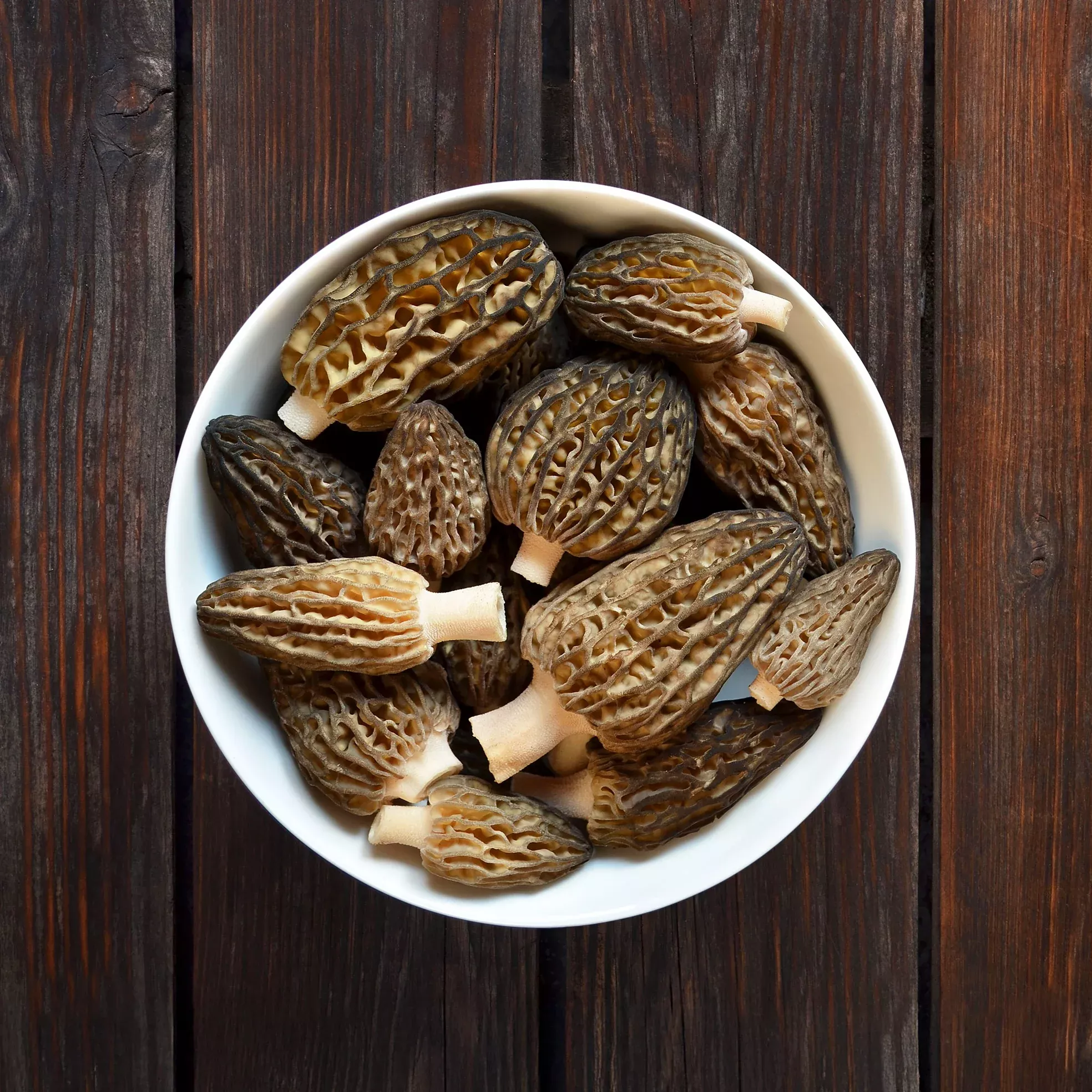 ***FRESH Morel Mushrooms