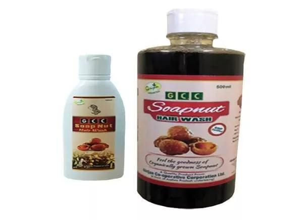 GCC Soapnut Hair Wash - 100 ml