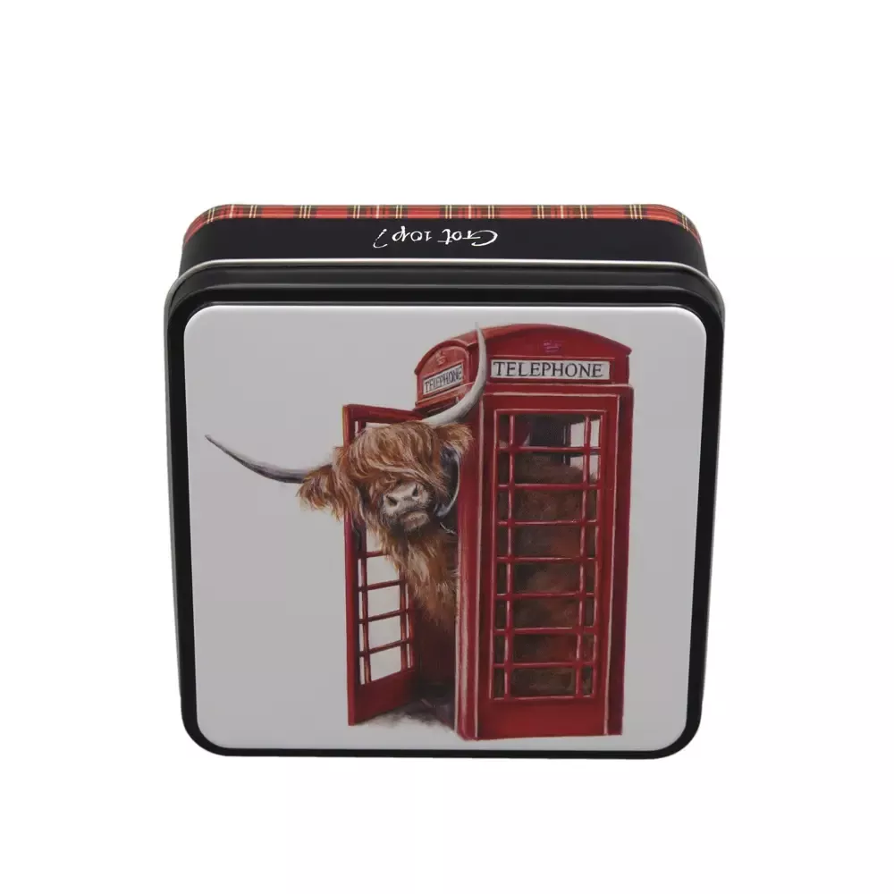 Got 10P? Clotted Cream Fudge Tin