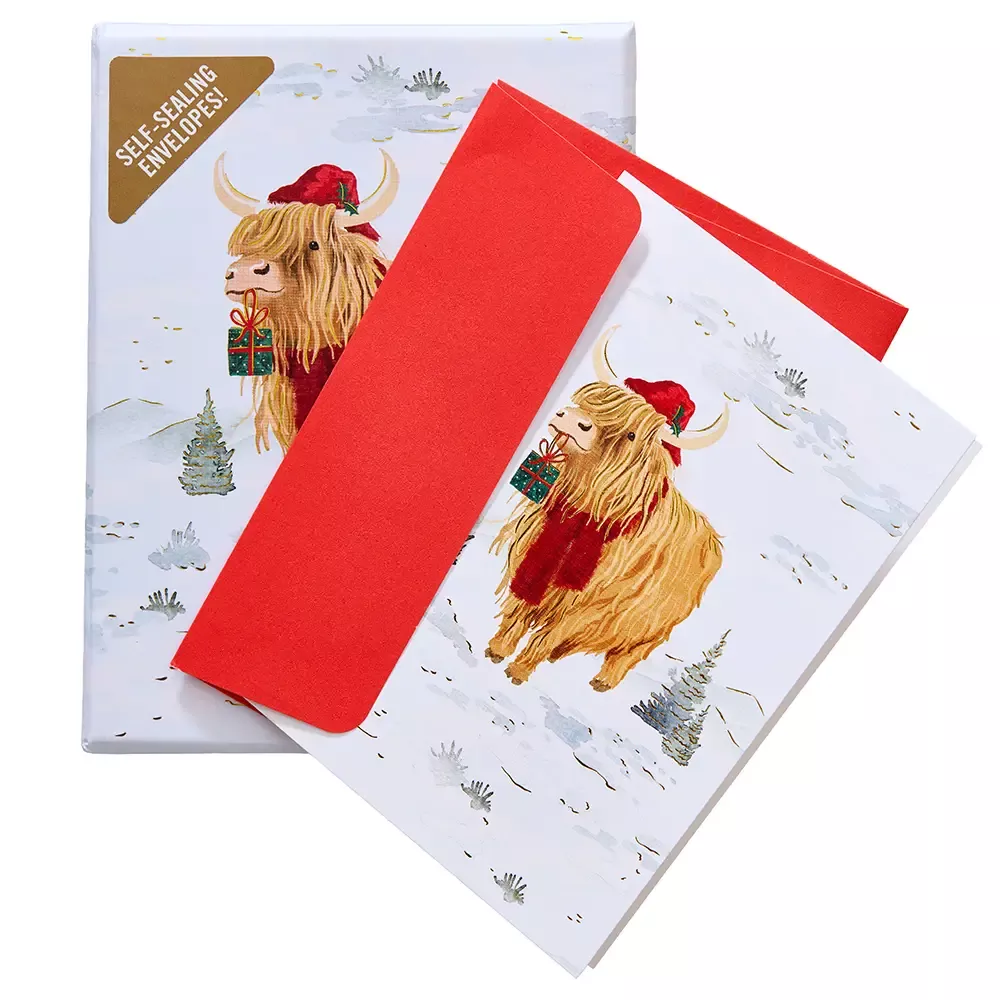 Highland Cow Christmas Cards - box of 20