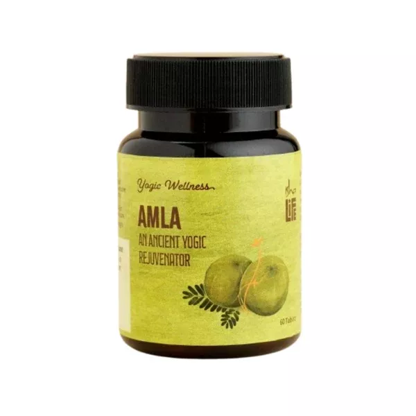 Isha Life Amla Tablet - 60 tabs