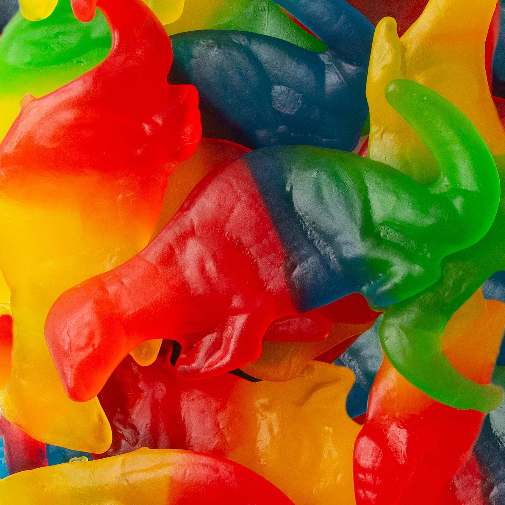 Kosher Dinosaurs Gummies - 1.25 LB