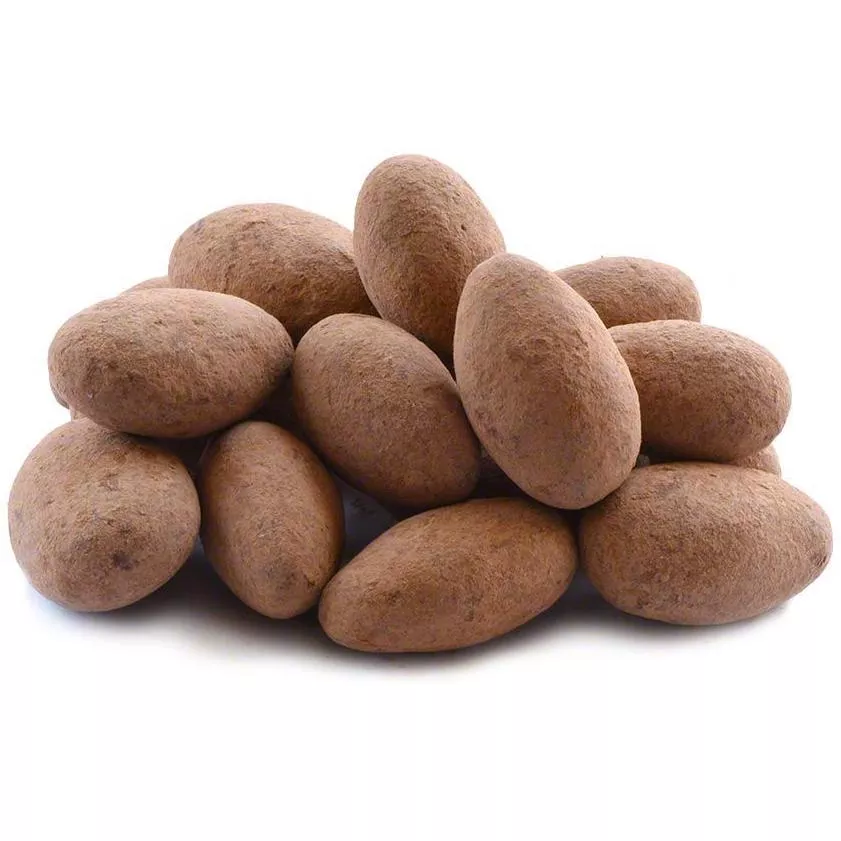 Milk Chocolate Cocoa Dusted Almonds