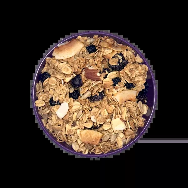 OrganicBlueberry Almond Granola