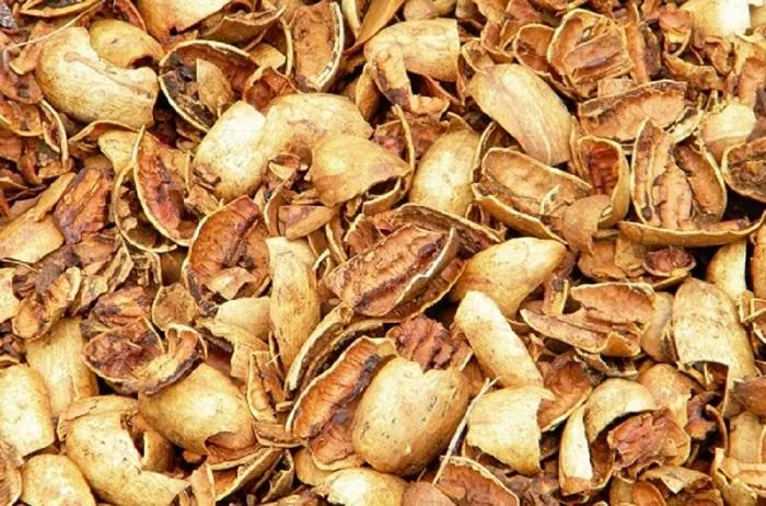 Pecan Shells (Shells Only) - 5 lb. Burlap Bag