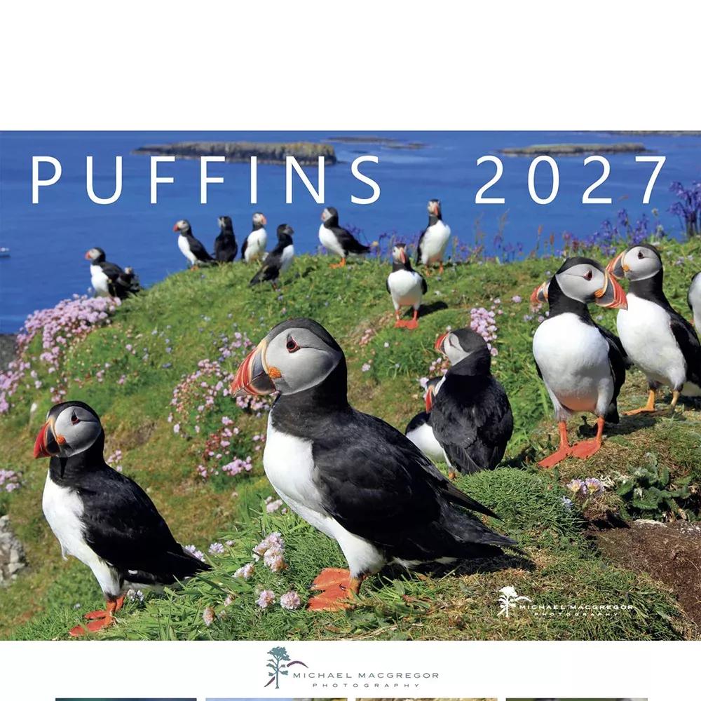 Puffin Calendar 2027