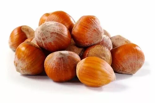 Raw In Shell Filberts /Hazelnuts