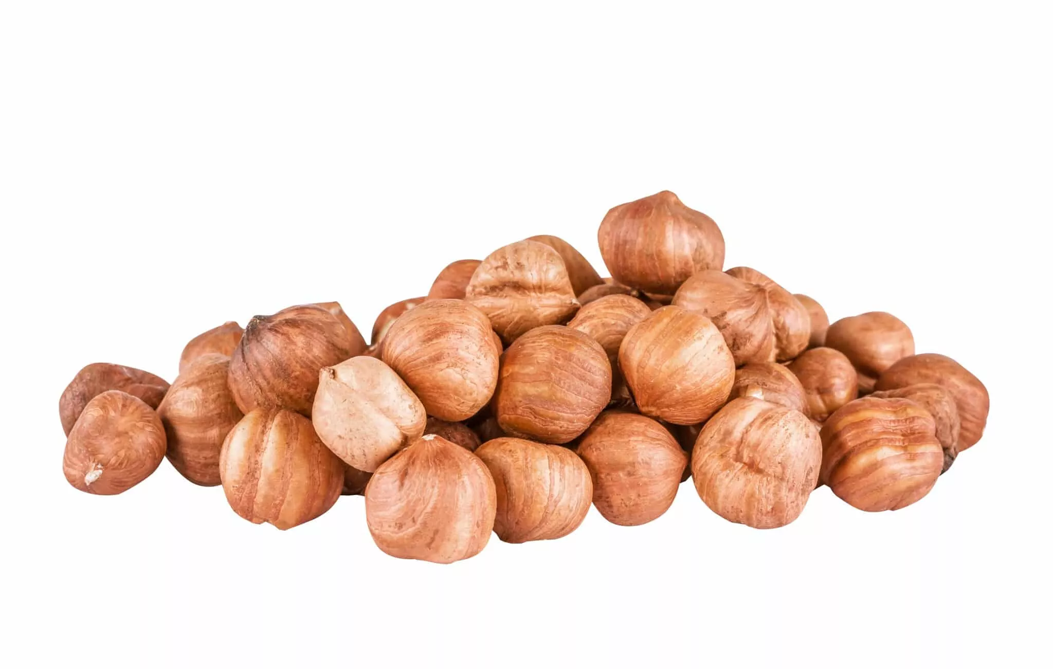 Raw Oregon Filberts /Hazelnuts