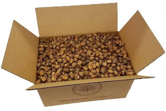 Texas Fresh Cracked Pecans - Bulk