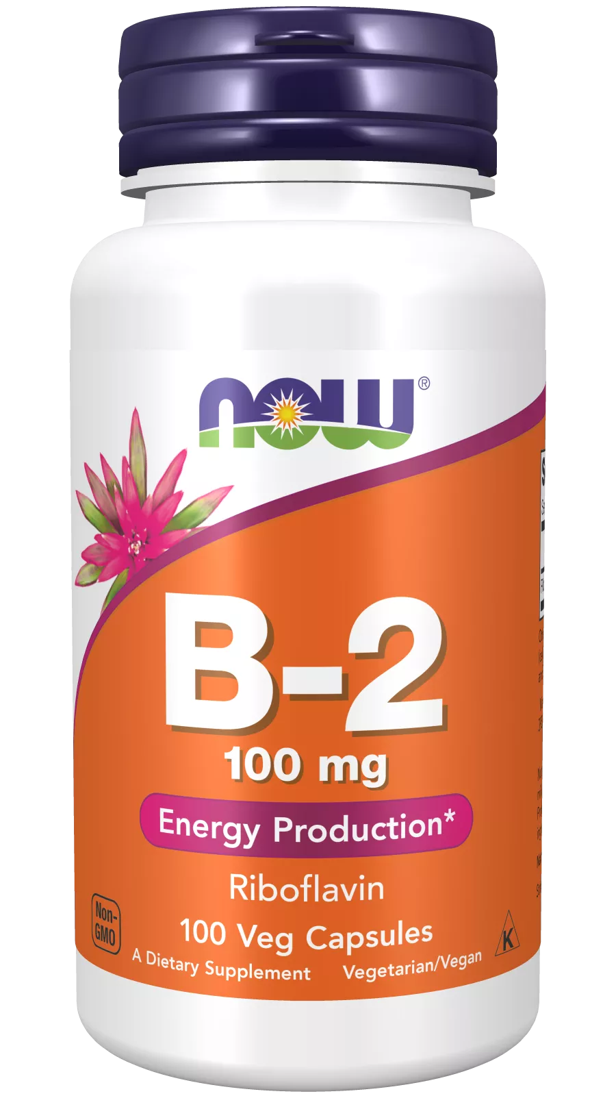 Vitamin B-2 100 mg Veg Capsules